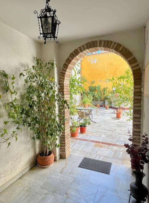 El Patio De Wallada قرطبة المظهر الخارجي الصورة